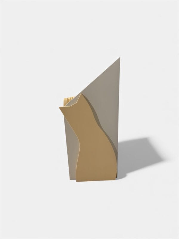 knygu lentyna be knygu, fotostudijos nuotrauka